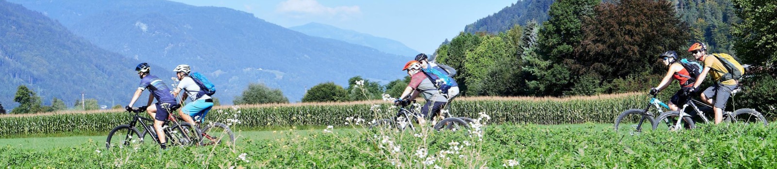 Fietsen Koen