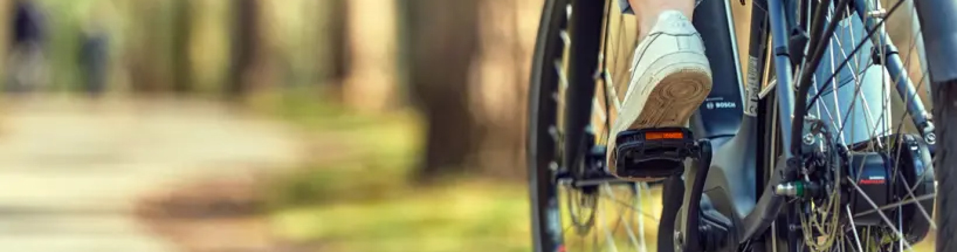 Fietsen Koen