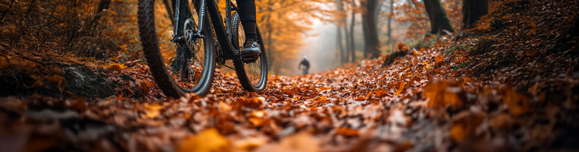 Fietsen Koen